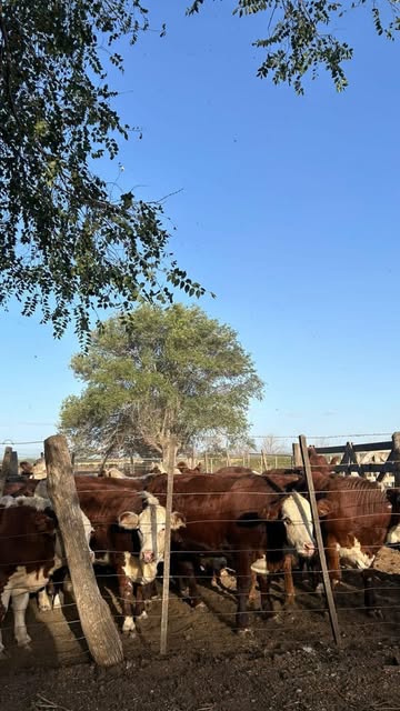 Hacienda de Agroindustria San Ignacio en San Luis